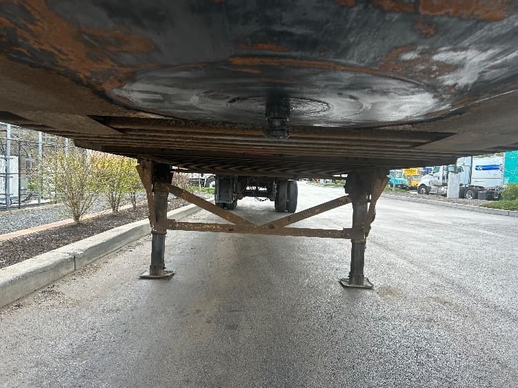 2015 Great Dane — photo 5