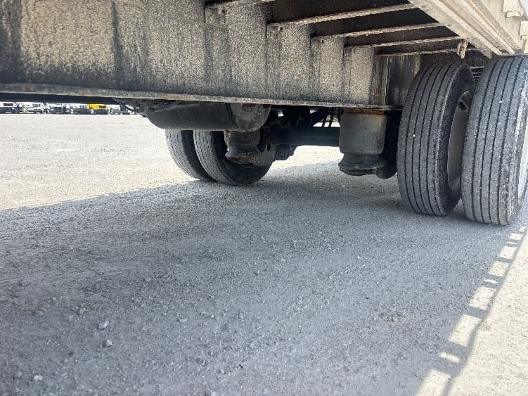 2016 Great Dane — photo 5