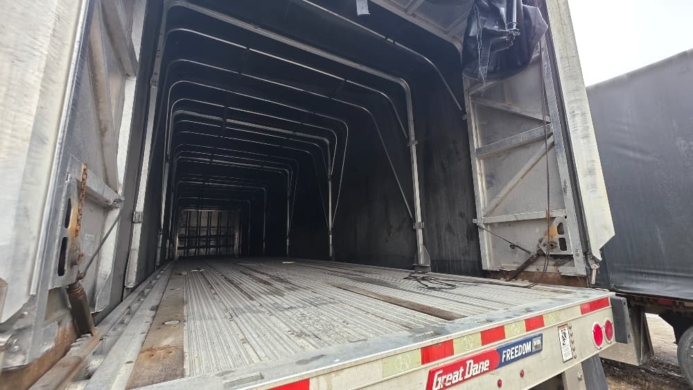 2016 Great Dane — photo 10