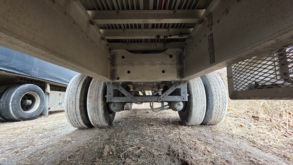 2016 Great Dane — photo 5