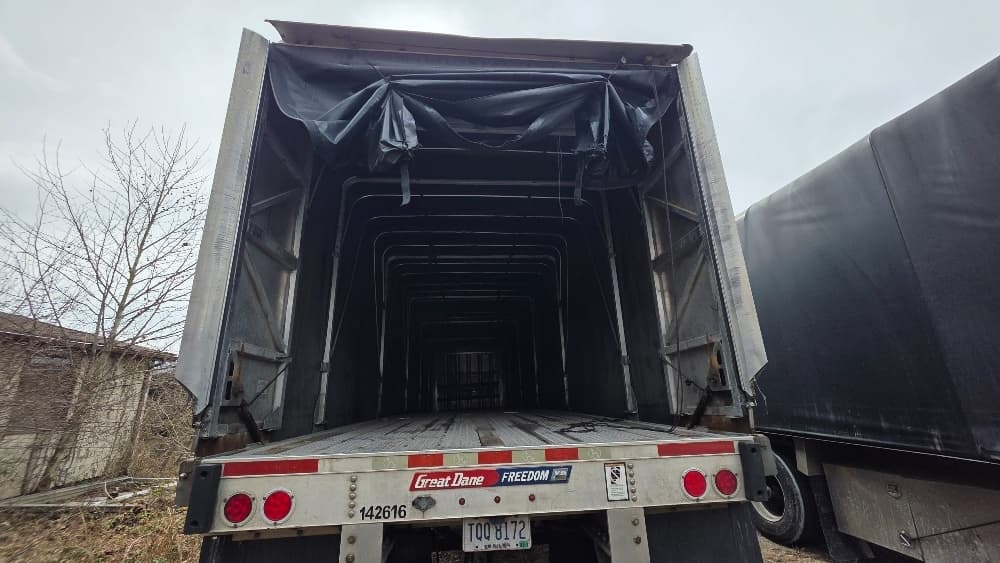 2016 Great Dane — photo 6