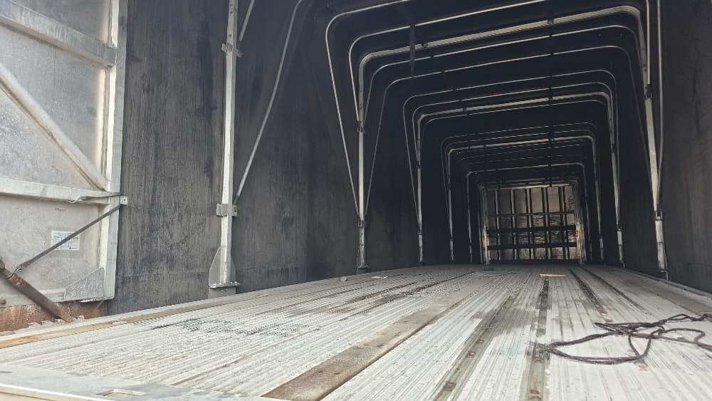 2016 Great Dane — photo 9