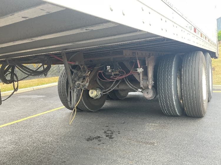 2017 Great Dane — photo 5