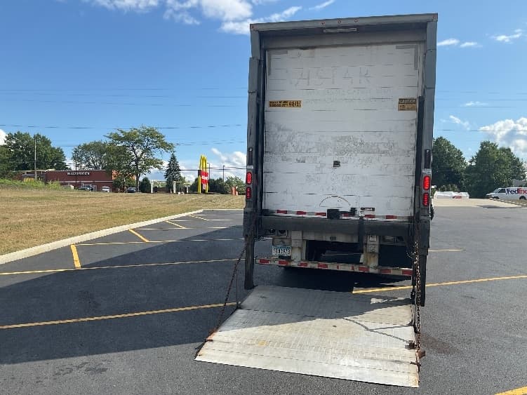 2017 Great Dane — photo 6