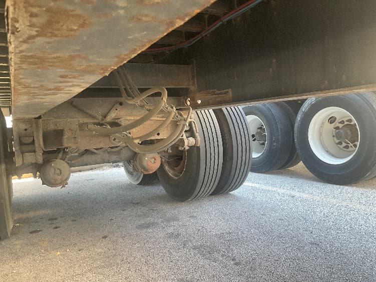 2018 Great Dane — photo 5