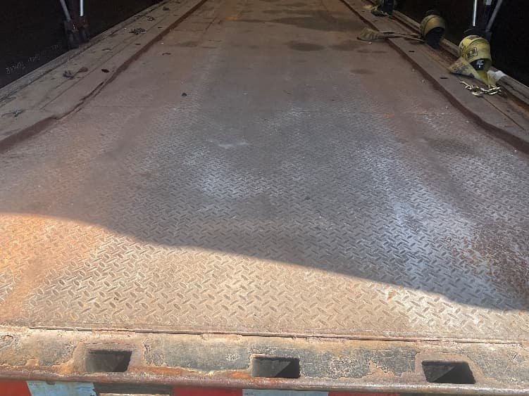 2018 Great Dane — photo 7