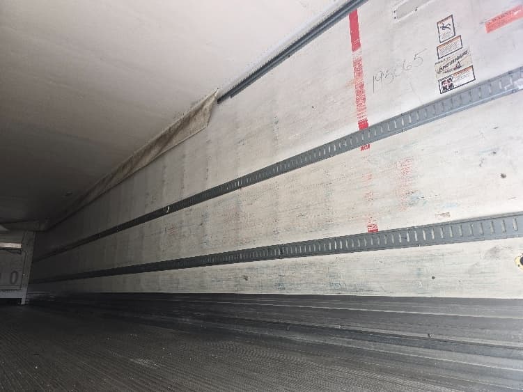 2017 Great Dane — photo 10