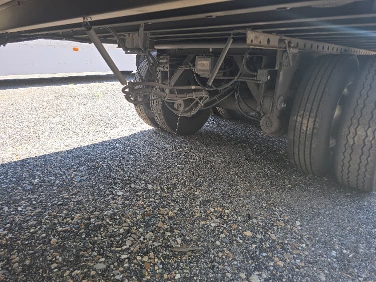 2017 Great Dane — photo 5