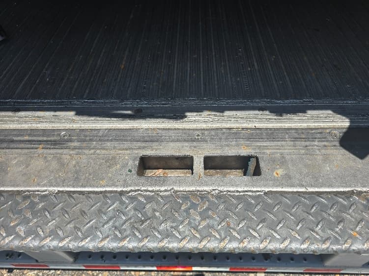 2017 Great Dane — photo 8