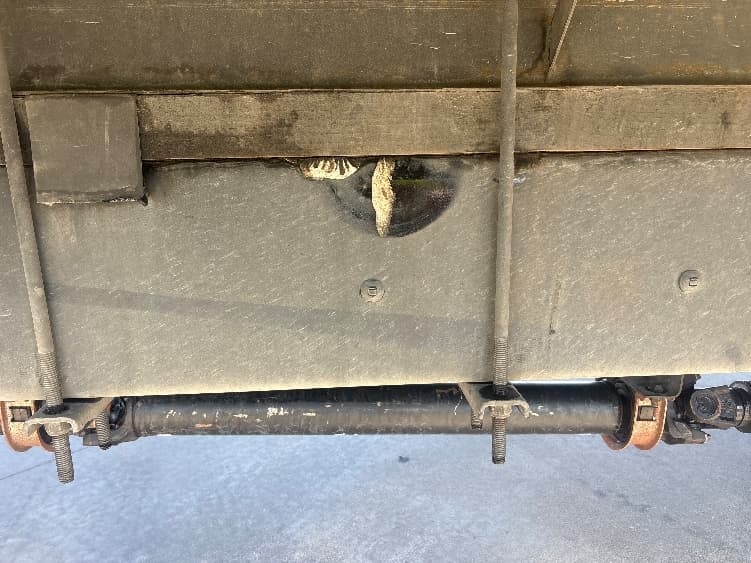 2022 International MV — photo 5