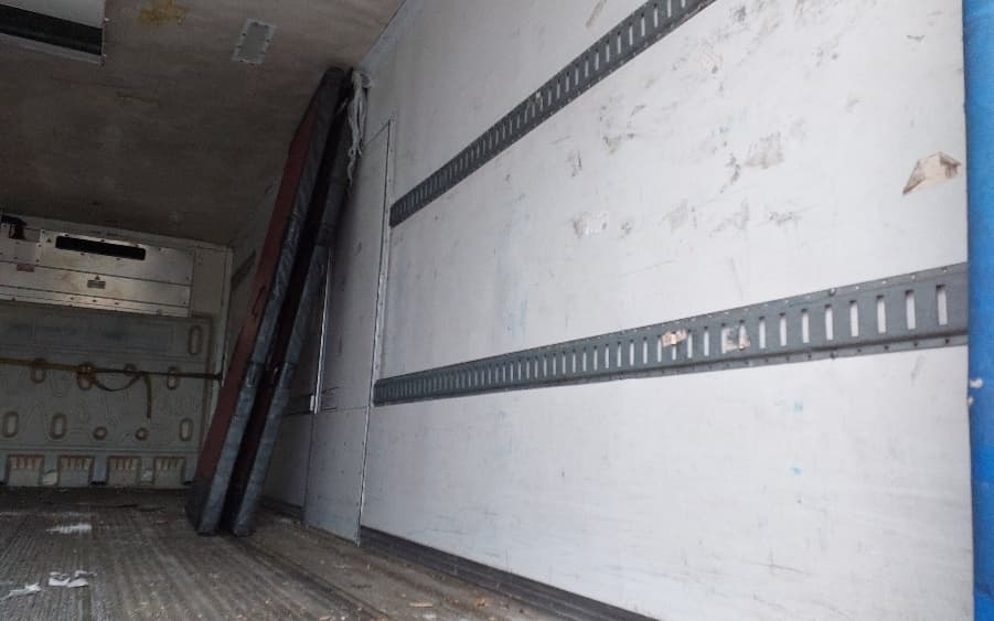 2018 Great Dane — photo 10