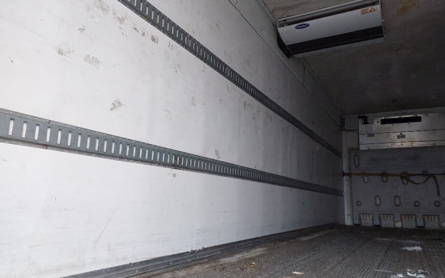 2018 Great Dane — photo 9