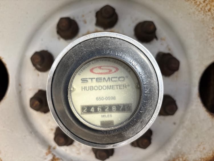 2010 Great Dane — photo 10