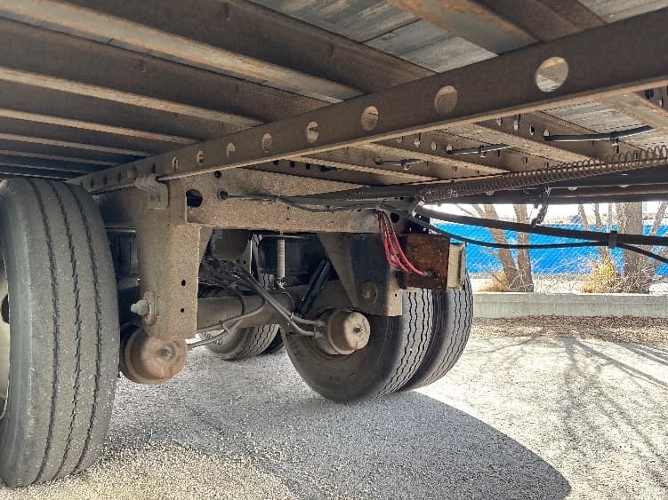 2010 Great Dane — photo 5