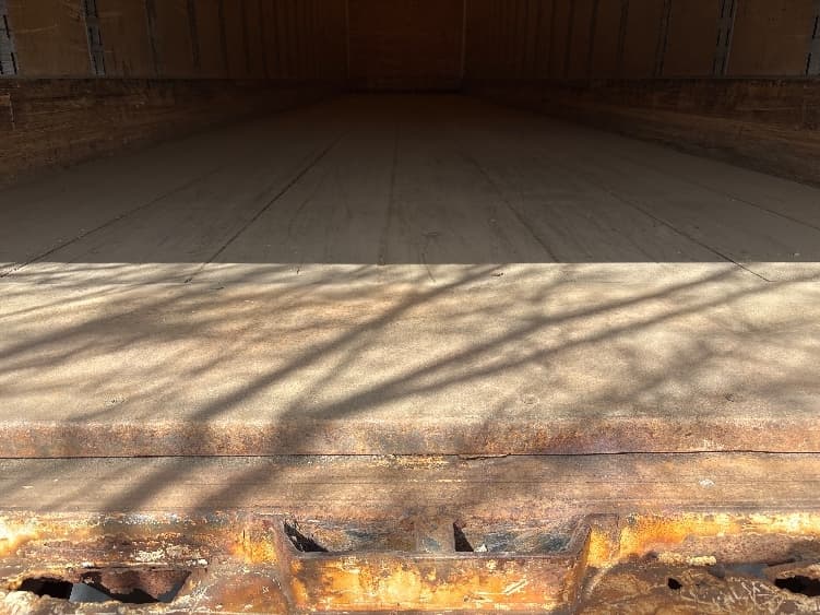 2010 Great Dane — photo 7