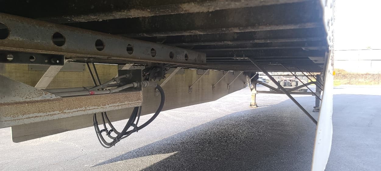 2012 Great Dane — photo 5