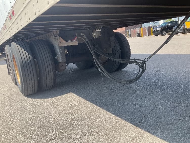 2012 Great Dane — photo 5