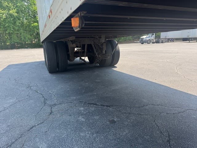 2013 Great Dane — photo 5