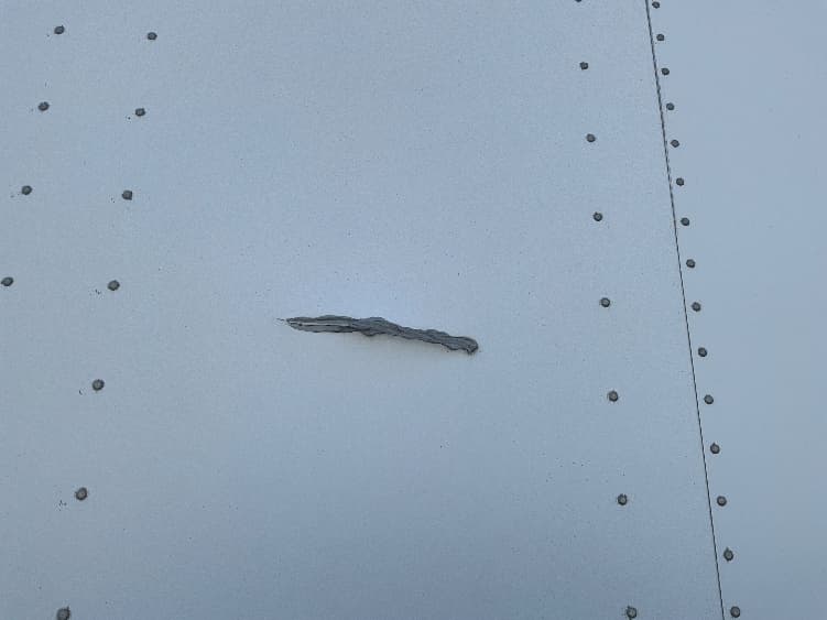 2013 Great Dane — photo 10