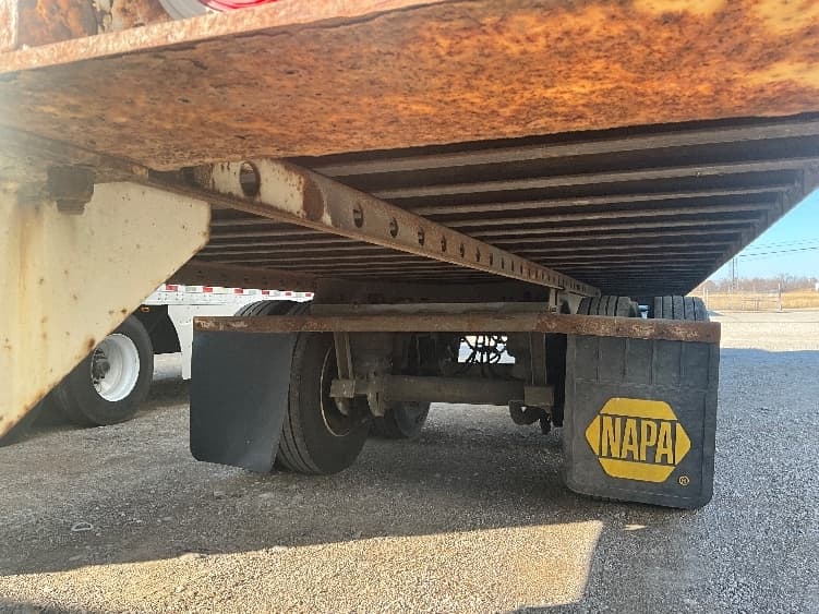 2013 Great Dane — photo 5