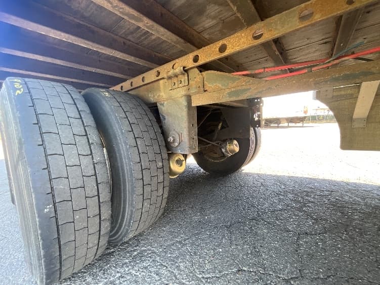 2013 Great Dane — photo 5