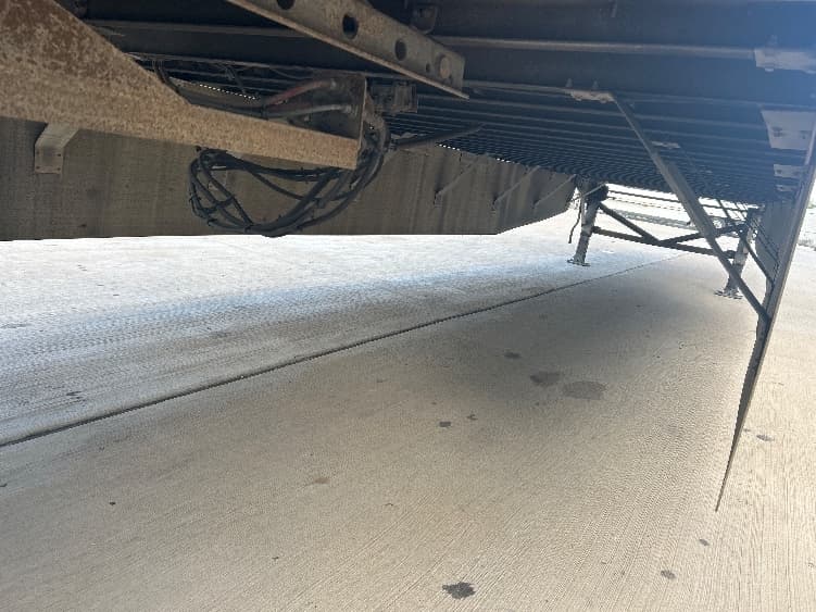 2013 Great Dane — photo 5