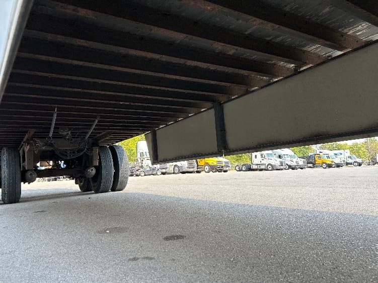 2013 Great Dane — photo 5