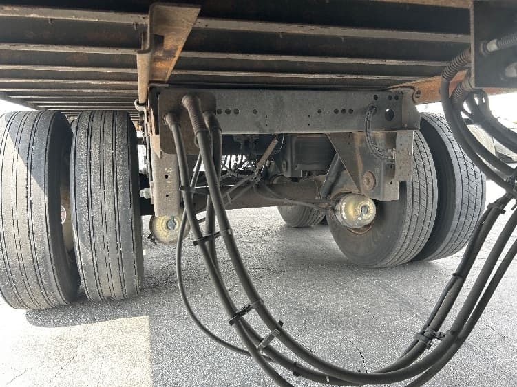 2013 Great Dane — photo 5