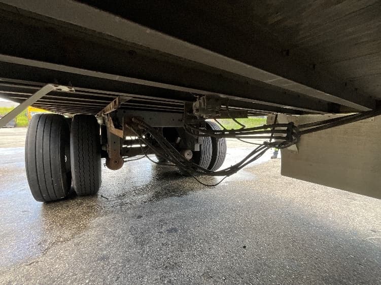 2014 Great Dane — photo 5