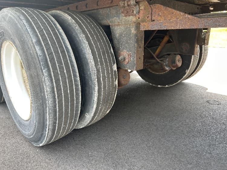 2014 Great Dane — photo 5