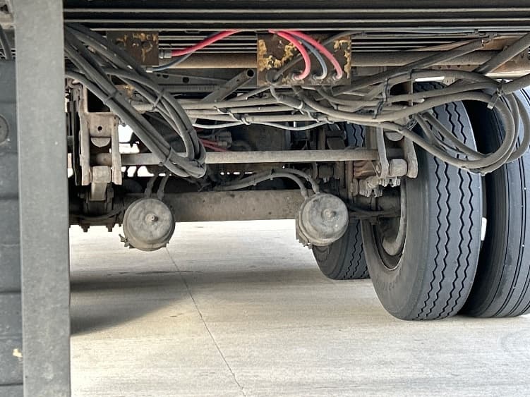 2014 Great Dane — photo 5