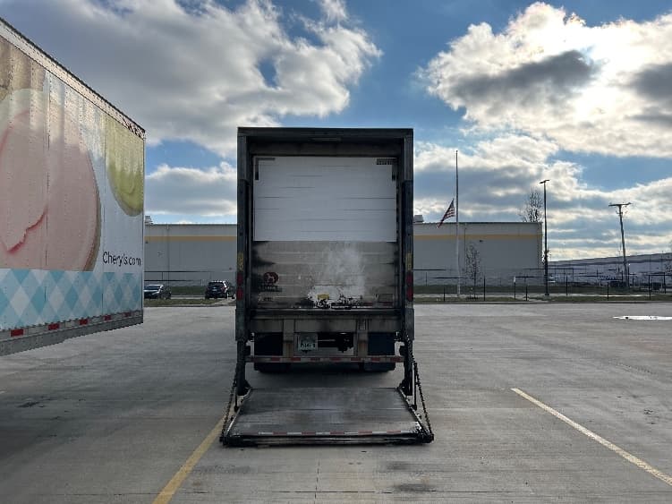 2014 Great Dane — photo 6