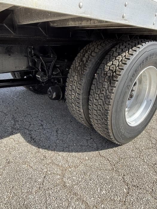 2019 International MV — photo 8