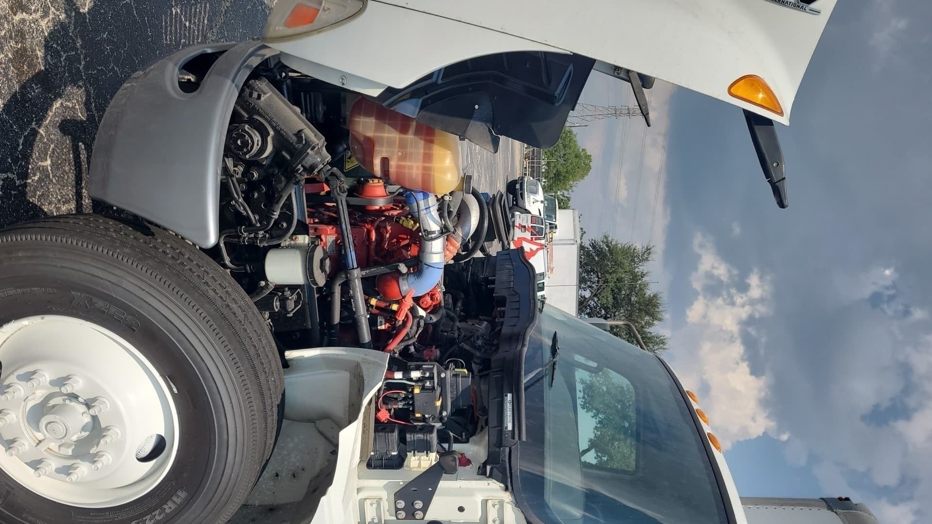 2019 International MV — photo 11