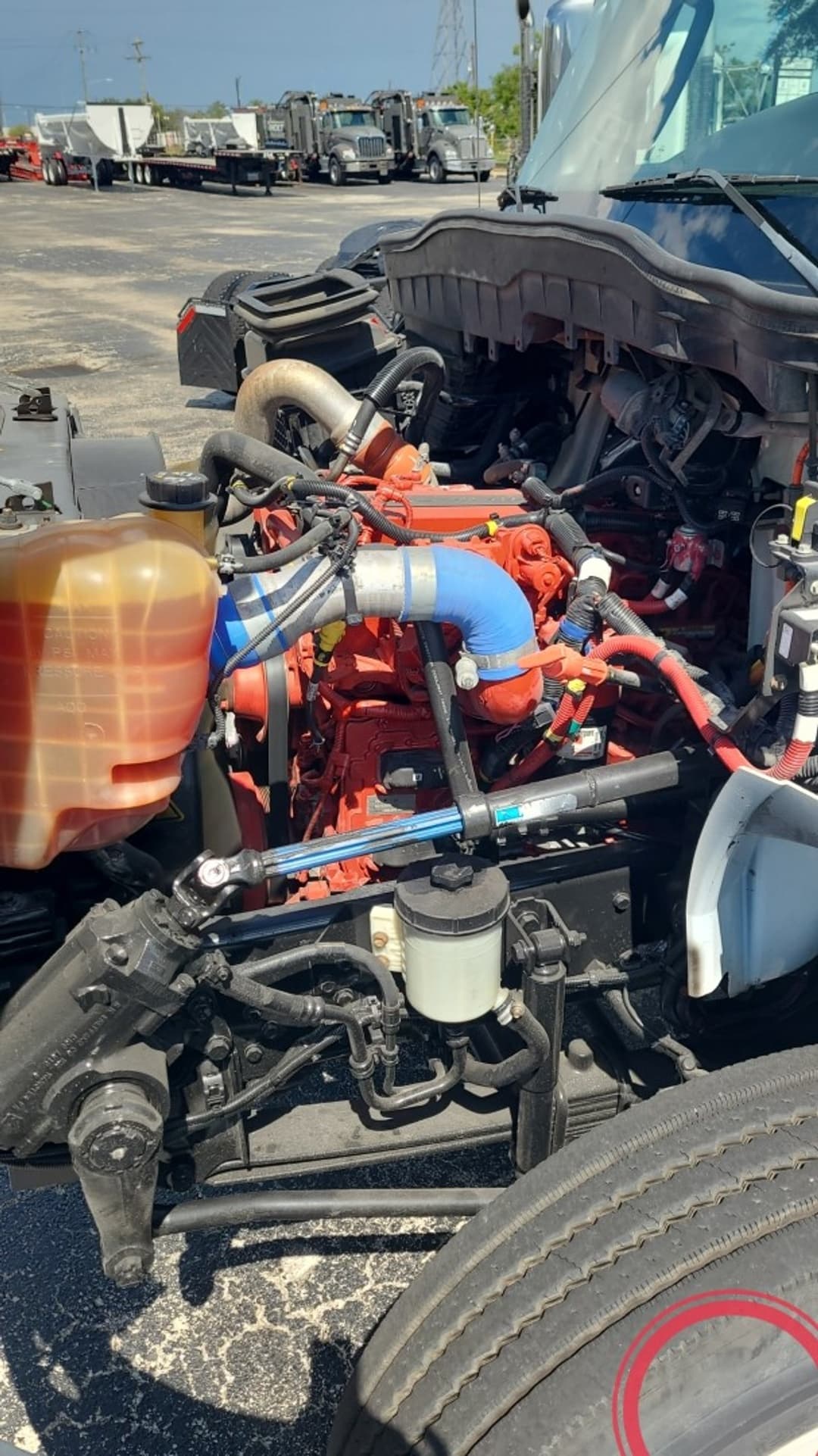 2019 International MV — photo 7