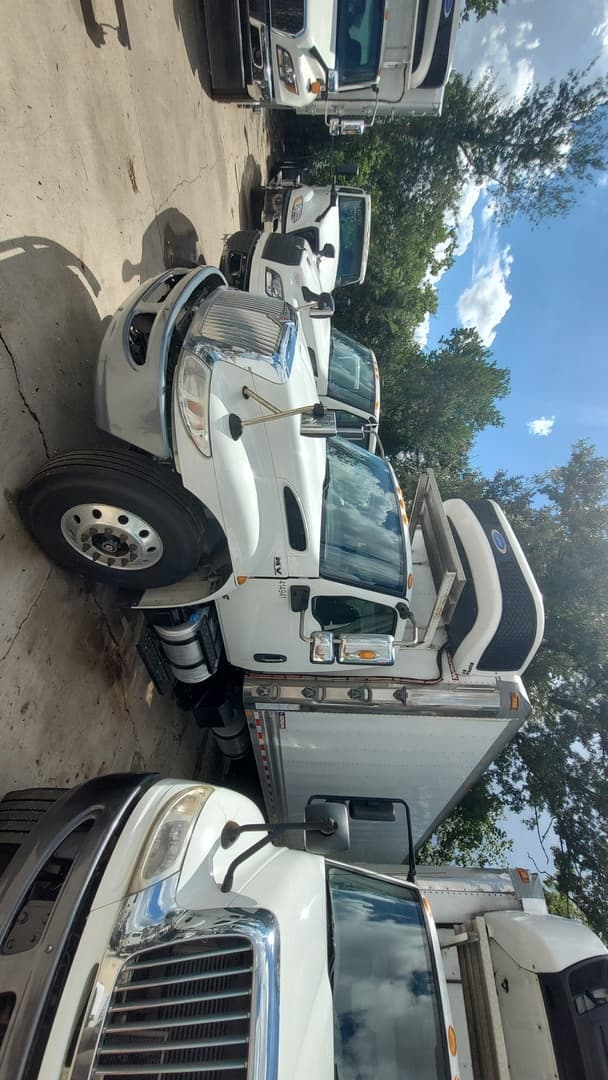 2021 International MV — photo 2