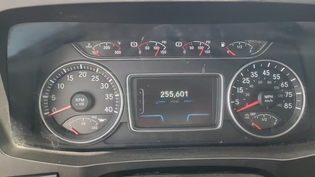 2019 International MV — photo 9