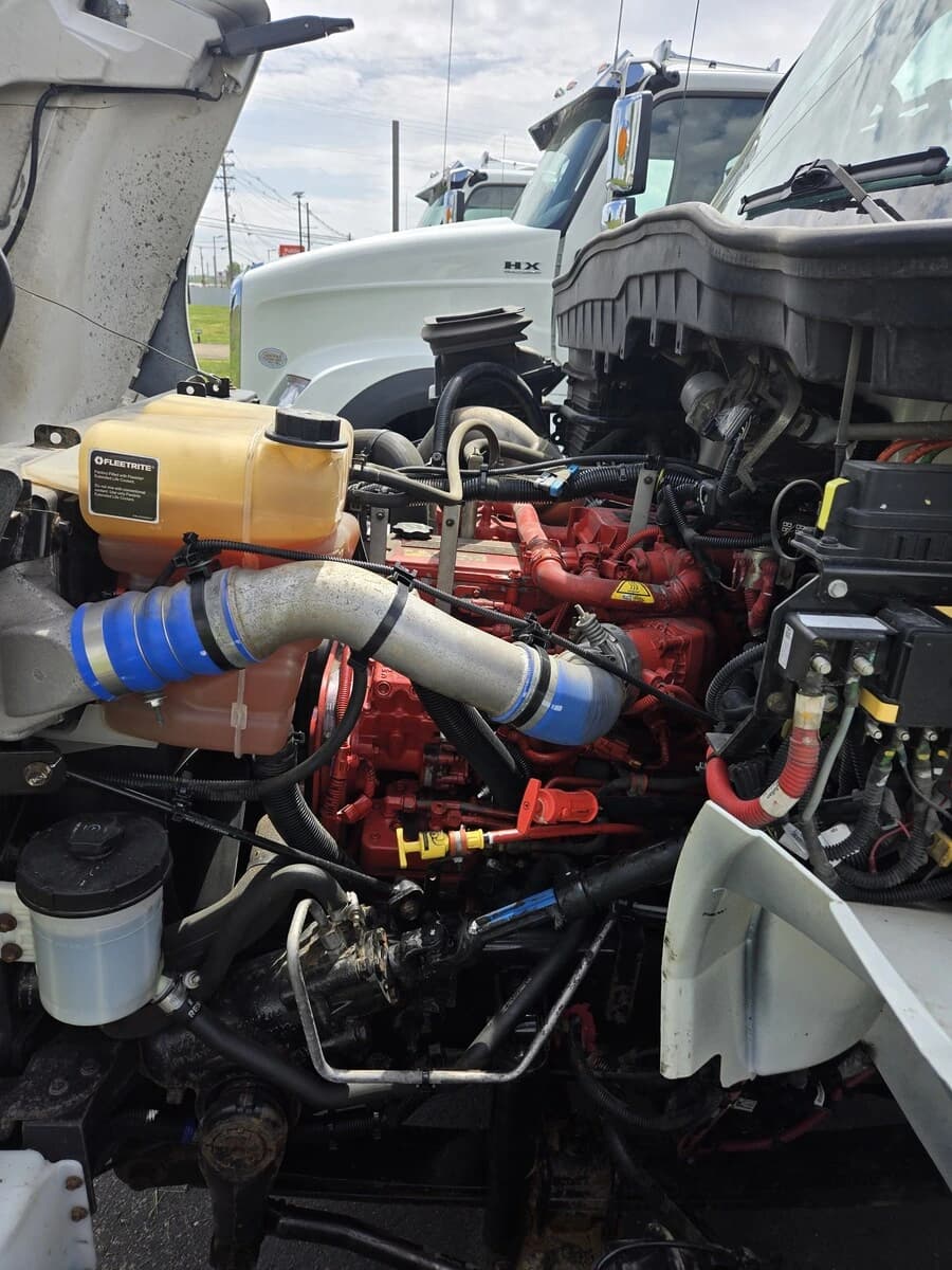 2021 International MV — photo 9