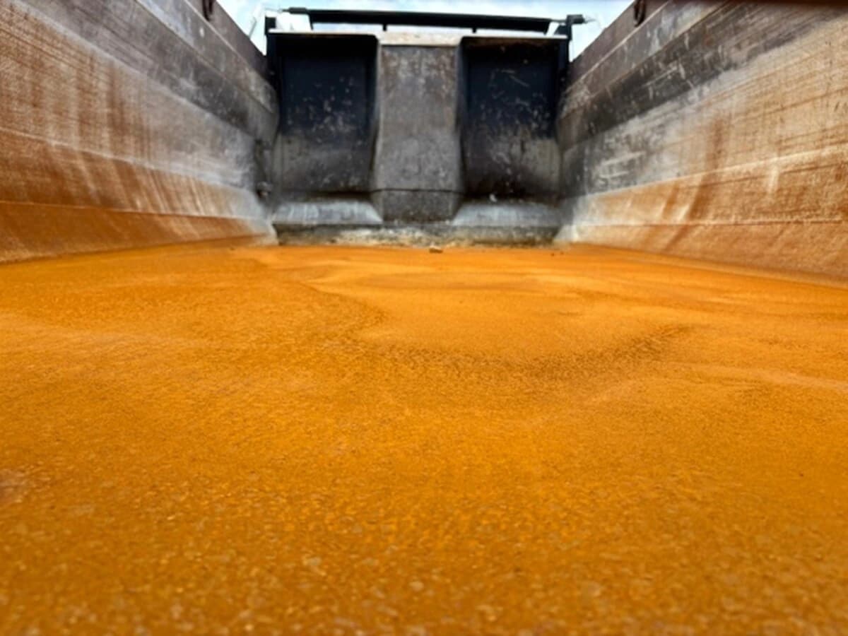 2021 International HV — photo 11