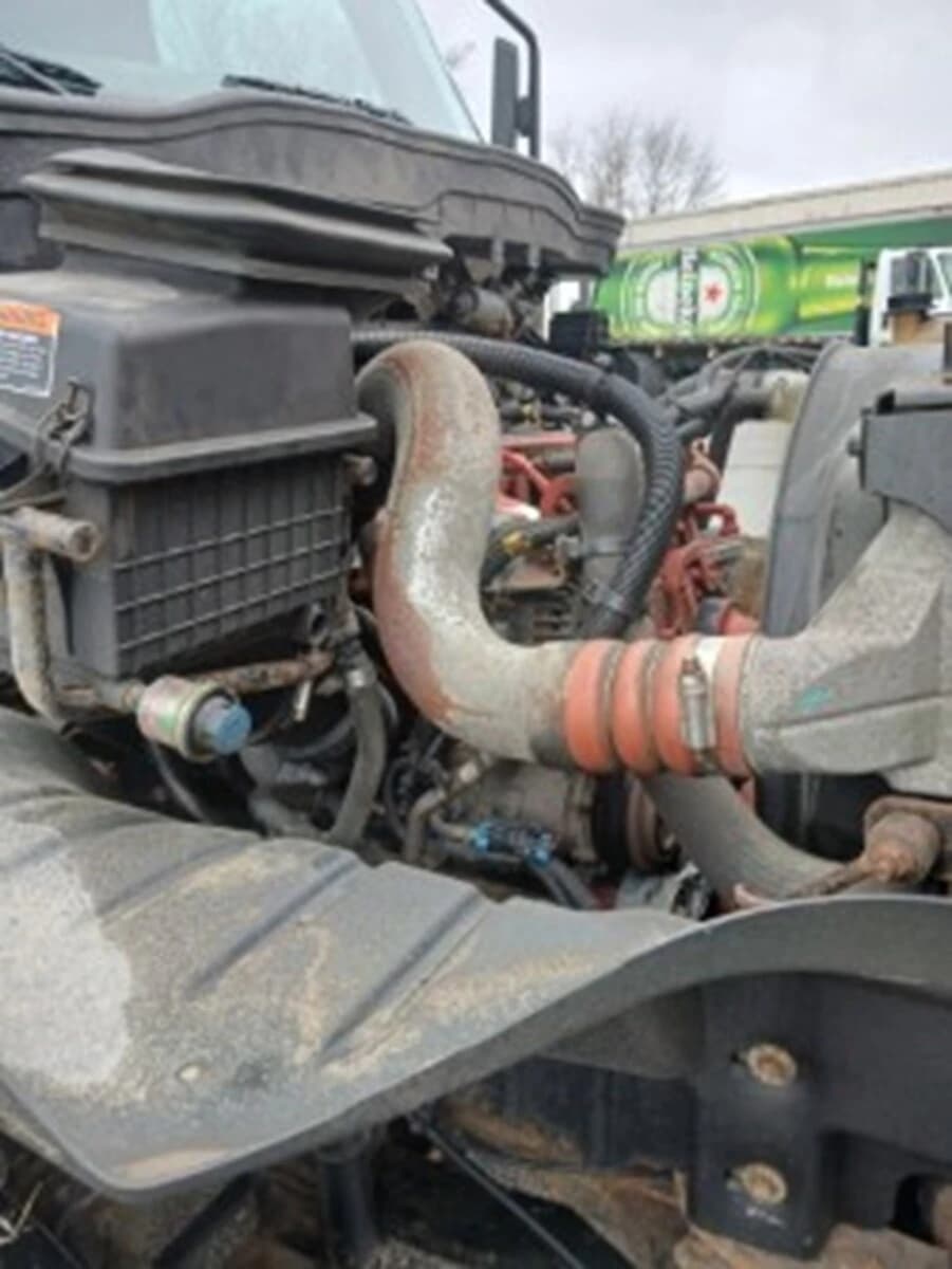 2019 International MV — photo 6