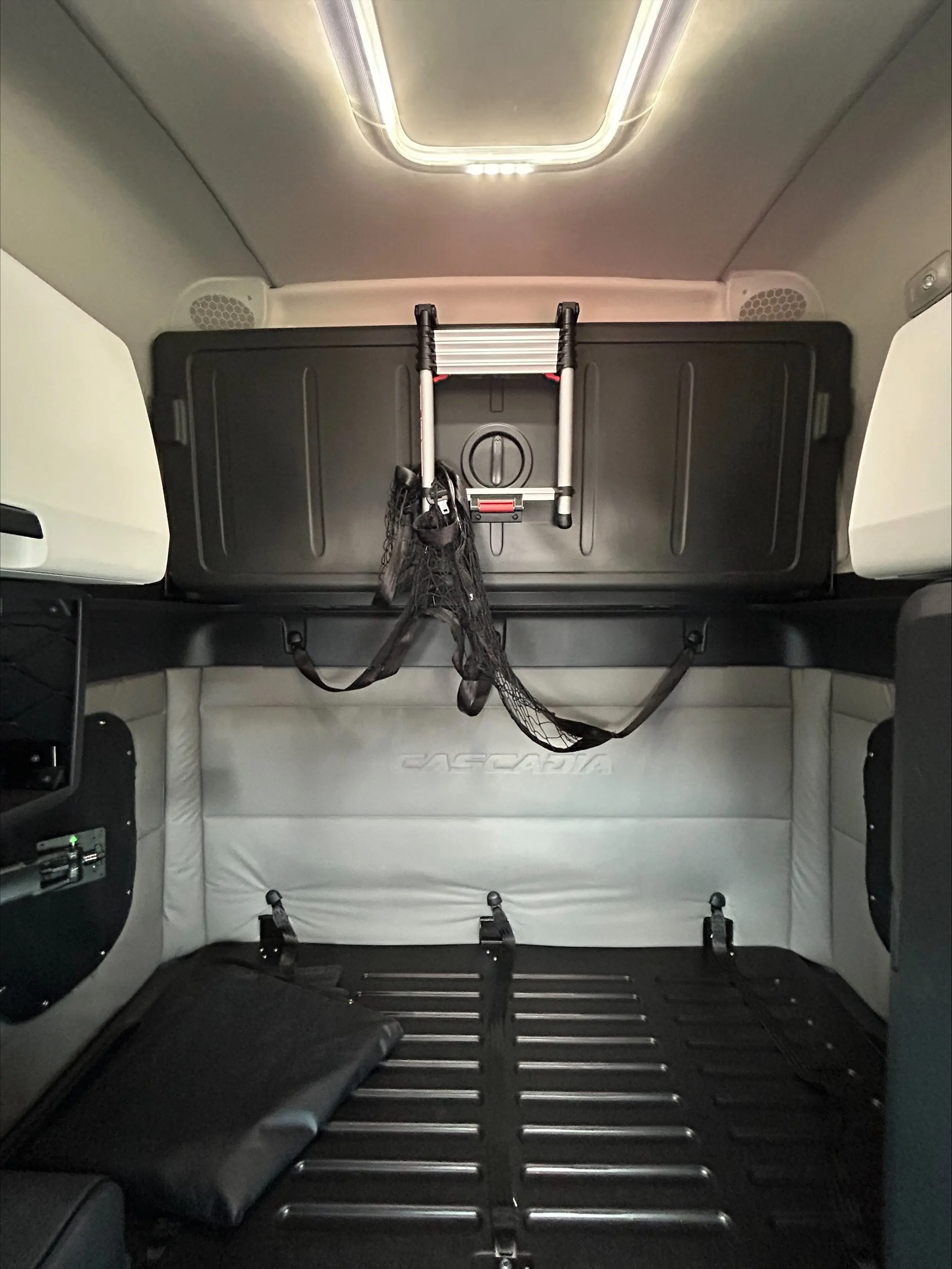 2020 Freightliner Cascadia — photo 10