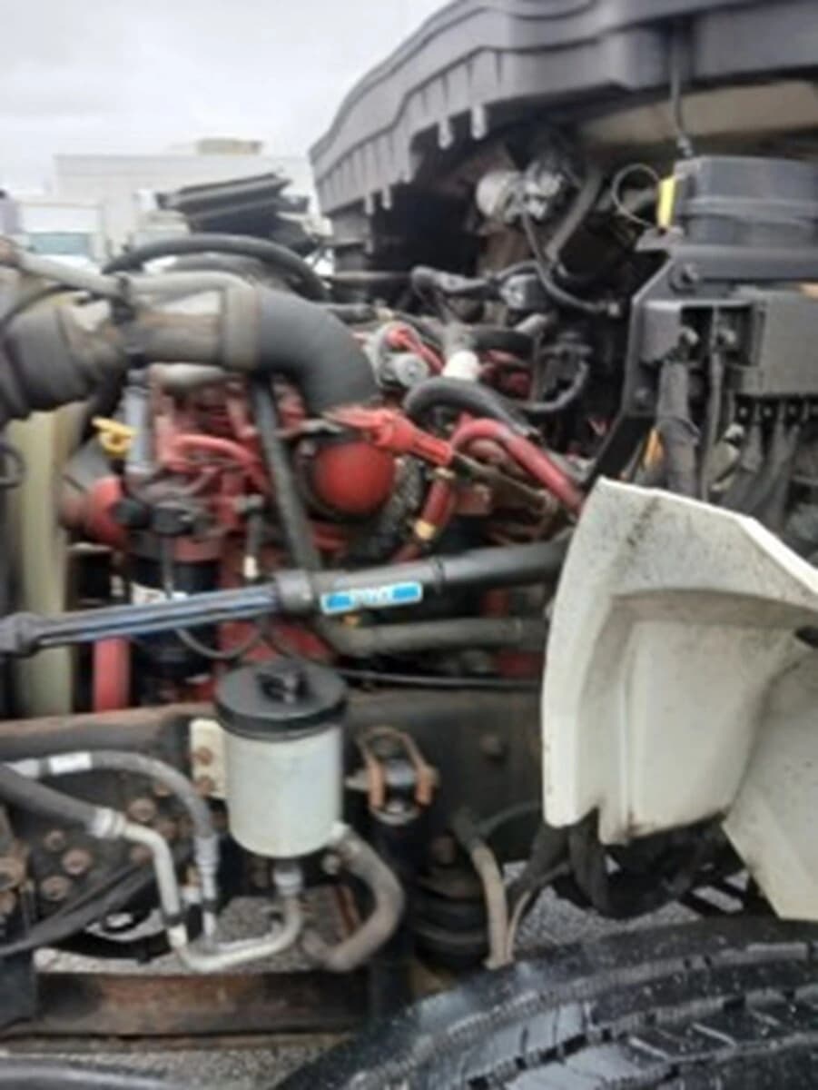 2019 International MV — photo 6