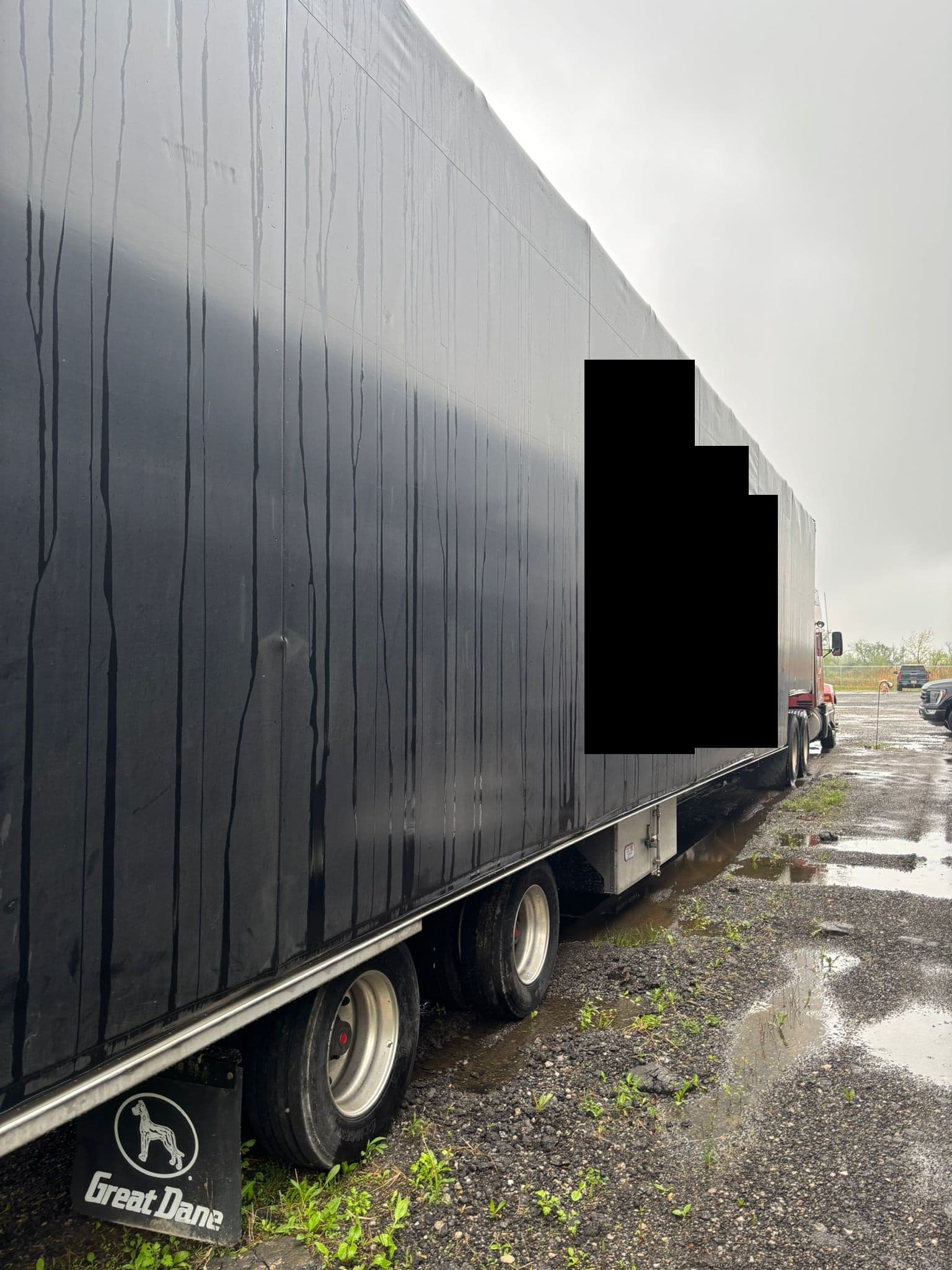 2023 Great Dane