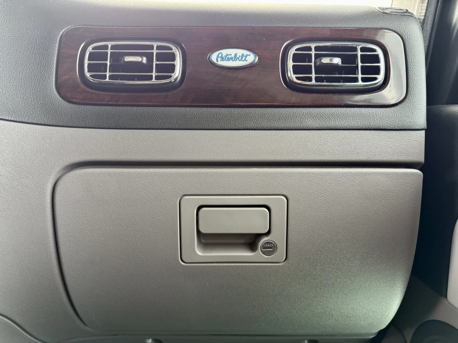 2019 Peterbilt 389 — photo 19