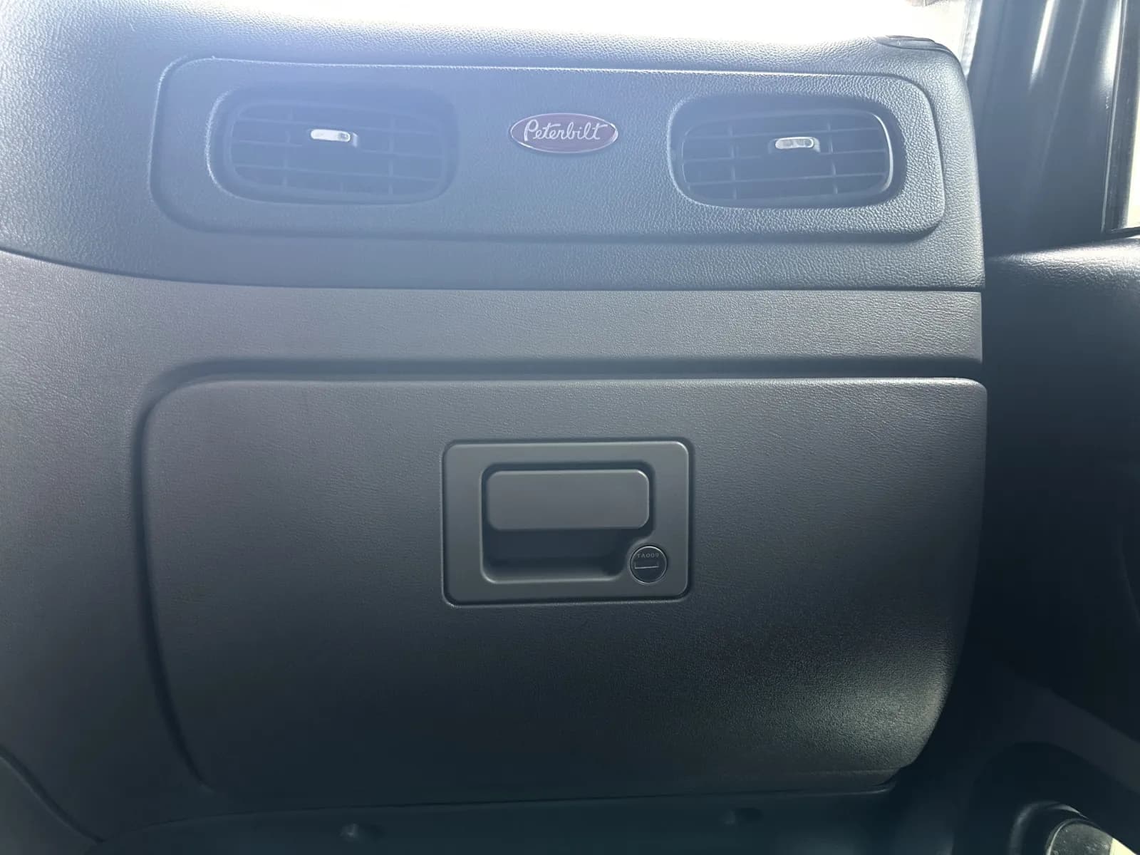 2019 Peterbilt 389 — photo 19