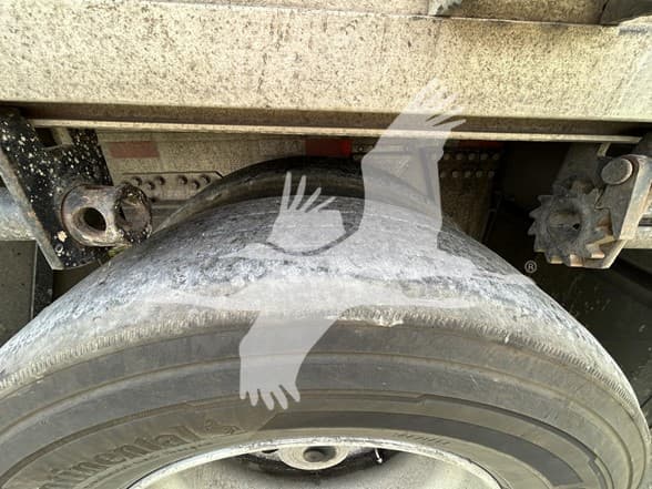 2016 Reitnouer — photo 6